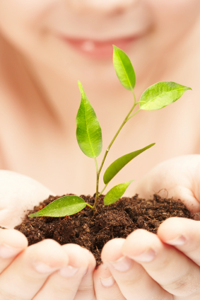 Copia Magazine: Plant Your First Garden